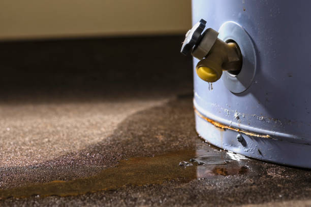 Best Fire Damage Restoration  in Mount Olive, AL