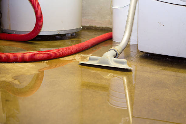 Best Carpet water damage restoration  in Mount Olive, AL