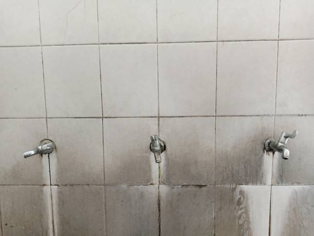 Best Water damage restoration near me  in Mount Olive, AL