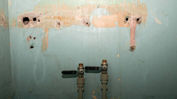 Best 24/7 water damage repair  in Mount Olive, AL